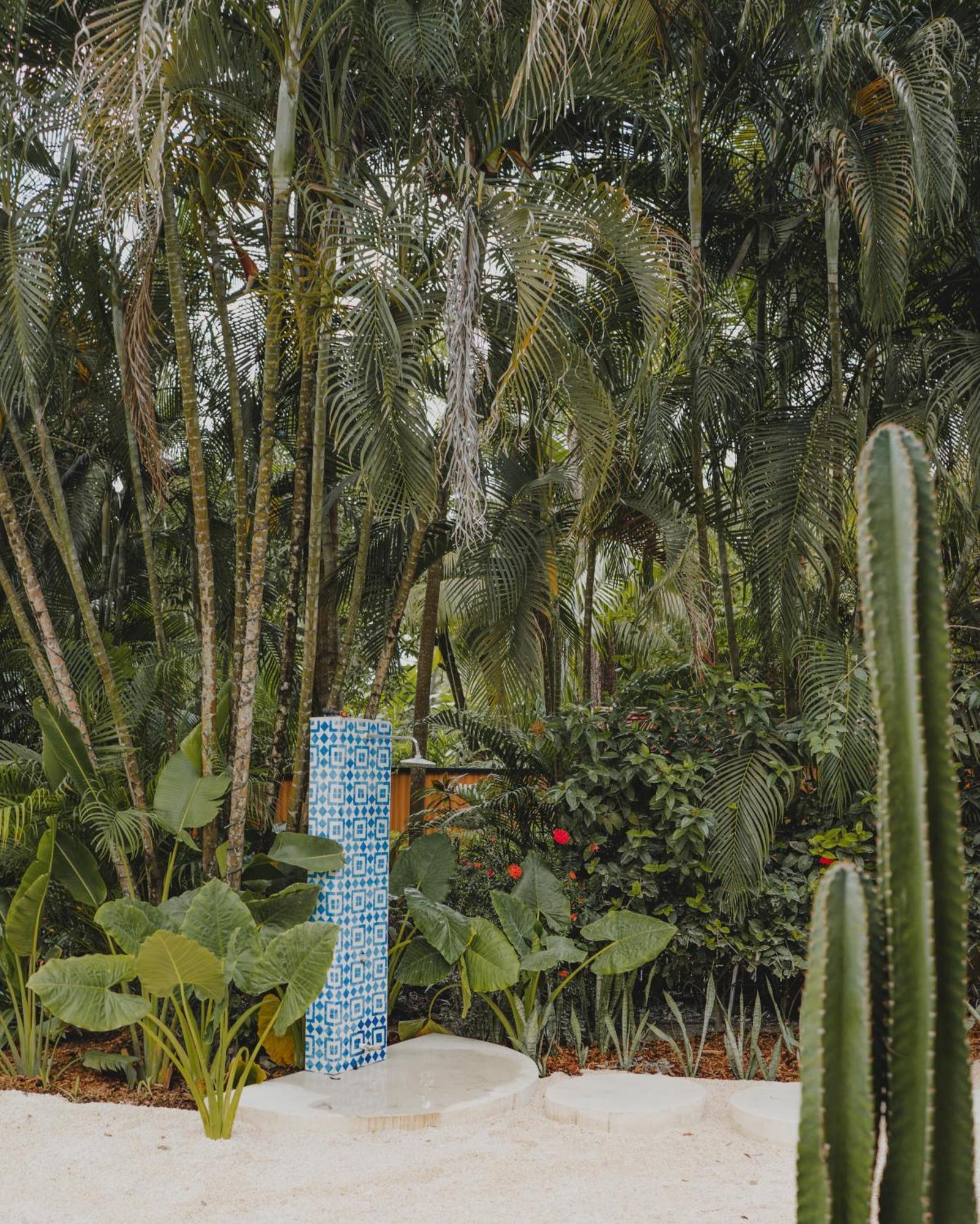 Banana Beach Bungalows Playa Santa Teresa  Bilik gambar